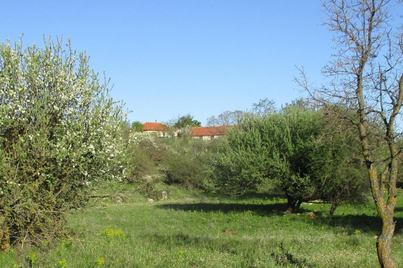 Willa Stone House In A Quiet Landscape, Leonidion Zewnętrze zdjęcie